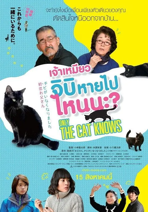เจ้าเหมียวจิบิหายไปไหนนะ?